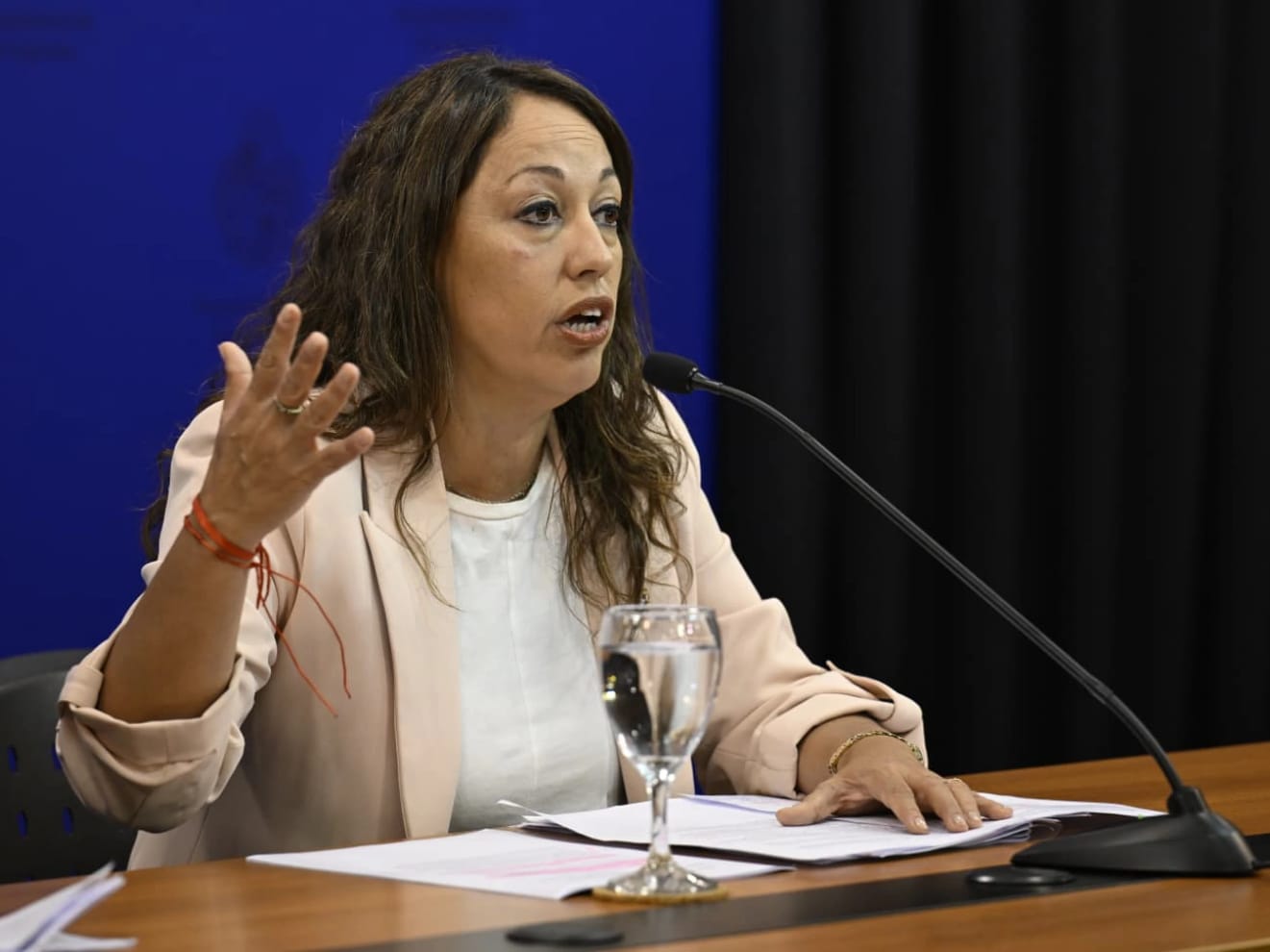 Fernanda Cardona evitó hablar de cambios de precios de combustibles