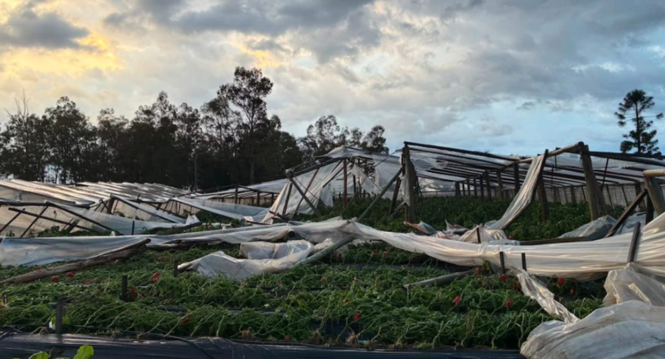 El Gobierno Nacional decretó la Emergencia Agropecuaria en Salto